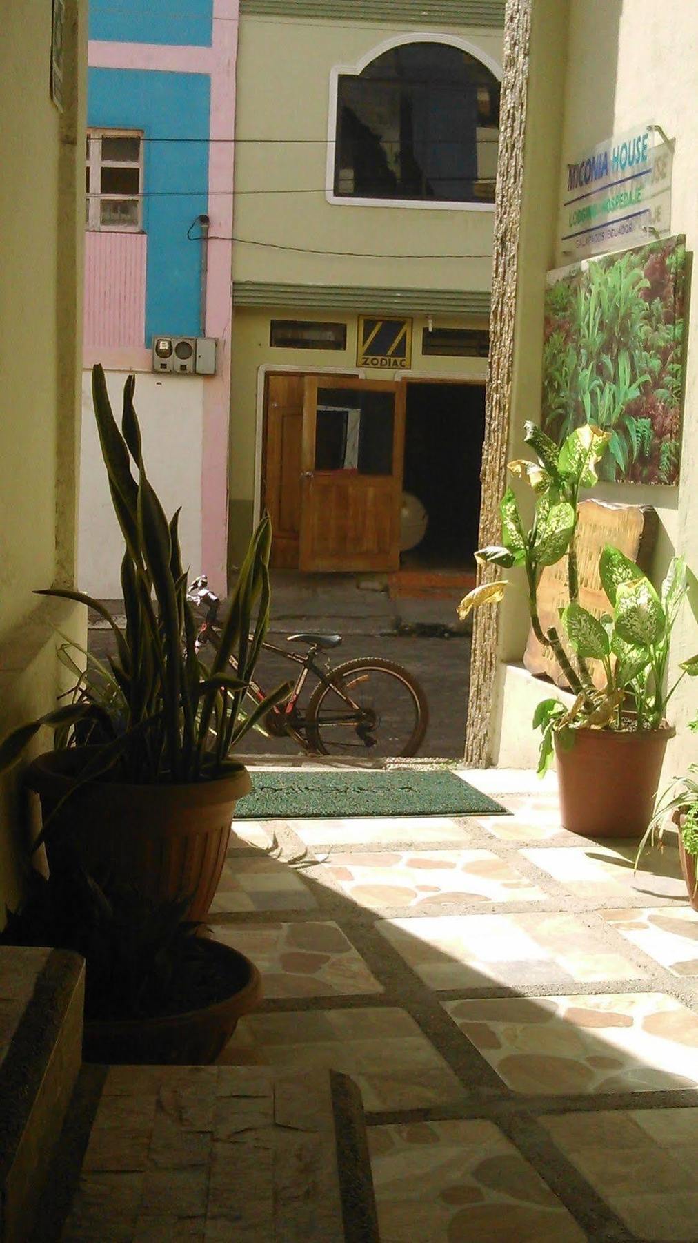 Hostal Miconia Puerto Ayora  Exterior photo